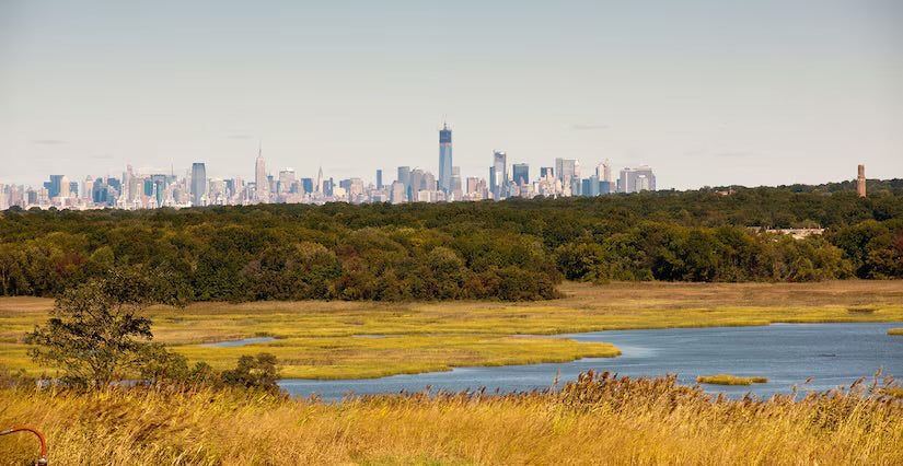 From environmental disaster to public park: Exploring Staten Island’s Freshkills