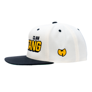 
                  
                    WU-TANG VARSITY SNAPBACK
                  
                
