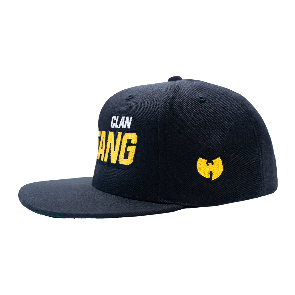 
                  
                    WU-TANG VARSITY SNAPBACK
                  
                