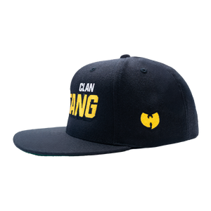 
                  
                    WU-TANG VARSITY SNAPBACK
                  
                