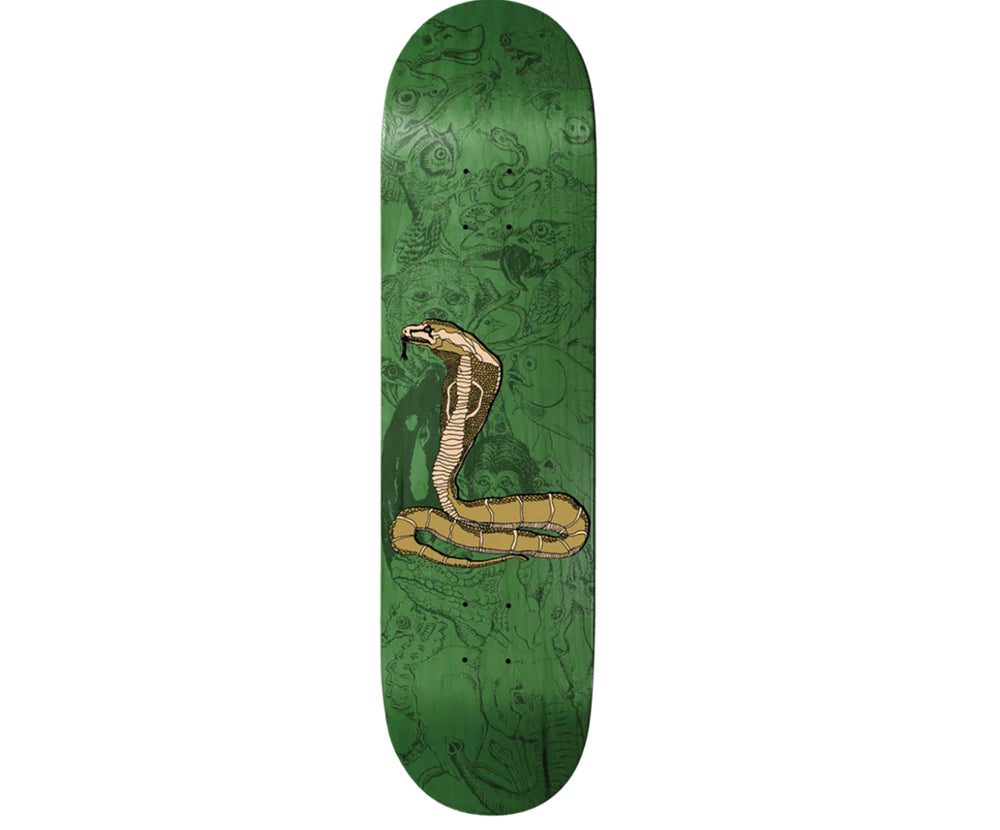 BAKER BEASLEY PIRANHACONDA DECK-8.25