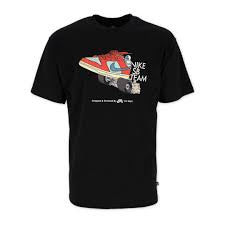 
                  
                    Nike SB Team Skate T-Shirt
                  
                
