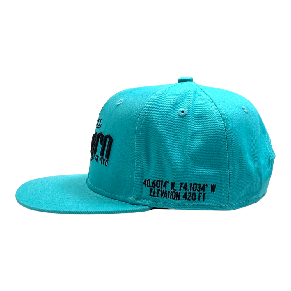 
                  
                    Highest In NYC - Teal Snapback
                  
                