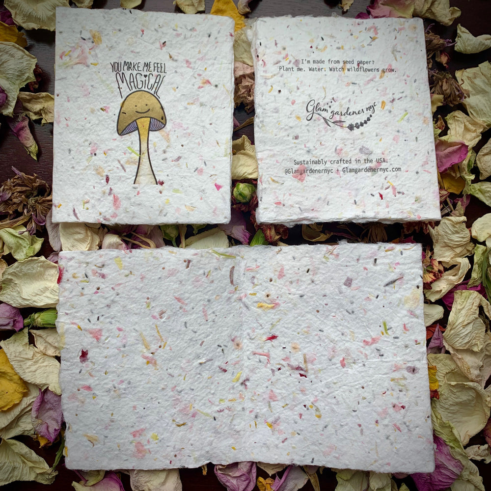 
                  
                    Magical Valentine’s Day Cards (made from seed paper)
                  
                