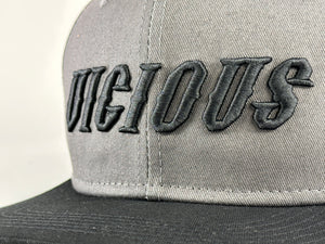 
                  
                    Vicious Locals Snapback - Steel
                  
                
